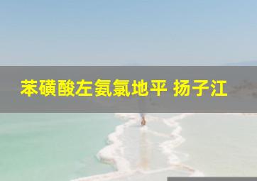 苯磺酸左氨氯地平 扬子江